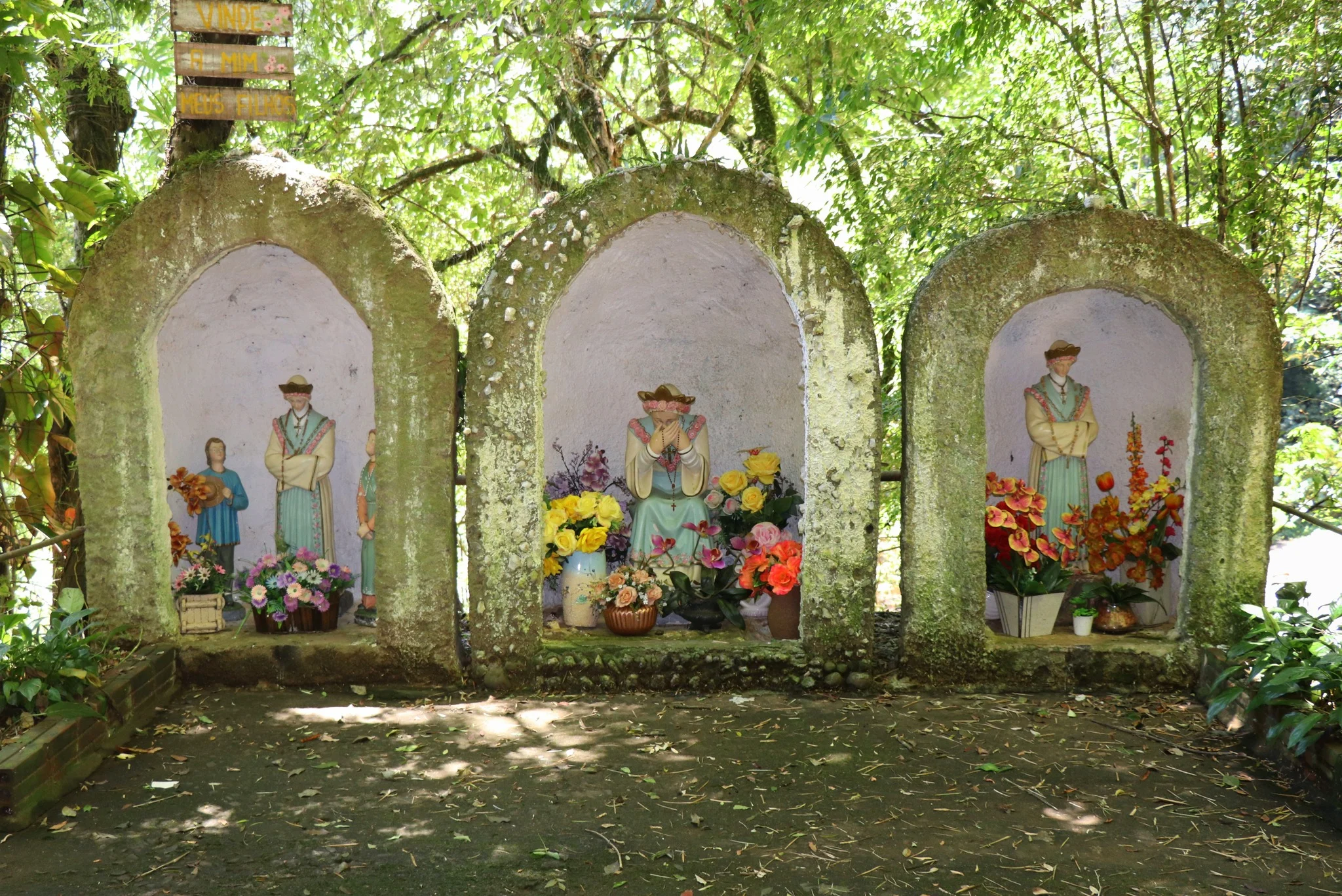 Foto do album Vista Alegre
